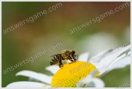 Mots croisés pour vous Niveau 16 Mots croisés 6