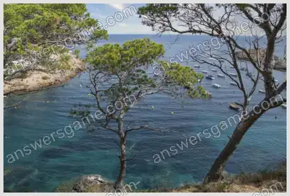 Mots croisés pour vous Niveau 17 Mots croisés 6