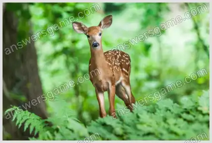 Mots croisés pour vous Niveau 18 Mots croisés 6