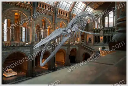 Mots croisés pour vous Niveau 20 Mots croisés 10