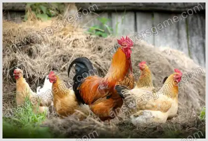 Mots croisés pour vous Niveau 20 Mots croisés 5