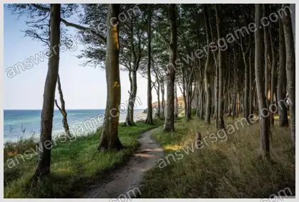 Kreuzworträtsel für Sie Ebene 21 Kreuzworträtsel 1