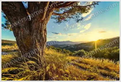 Mots croisés pour vous Niveau 23 Mots croisés 5