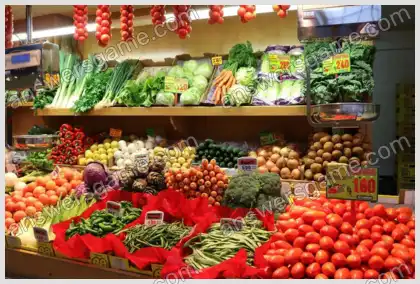 Mots croisés pour vous Niveau 24 Mots croisés 1