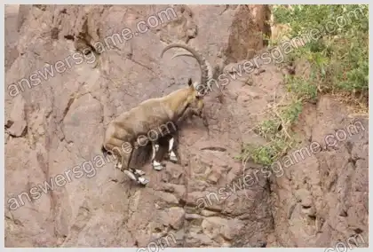 Kreuzworträtsel für Sie Ebene 25 Kreuzworträtsel 1