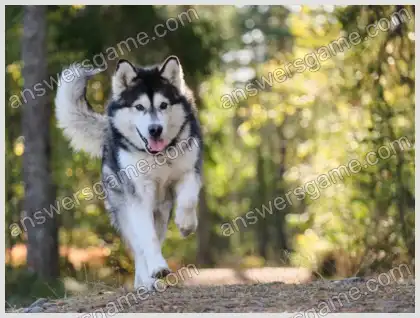 Kreuzworträtsel für Sie Ebene 29 Kreuzworträtsel 10