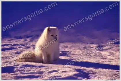 Kreuzworträtsel für Sie Ebene 3 Kreuzworträtsel 10