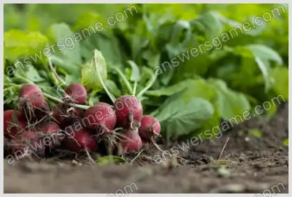 Kreuzworträtsel für Sie Ebene 3 Kreuzworträtsel 6