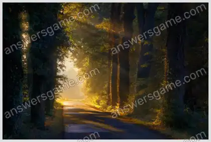 Mots croisés pour vous Niveau 30 Mots croisés 1