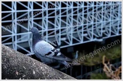 Mots croisés pour vous Niveau 30 Mots croisés 6