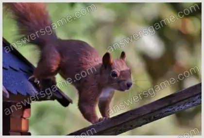 Mots croisés pour vous Niveau 30 Mots croisés 8