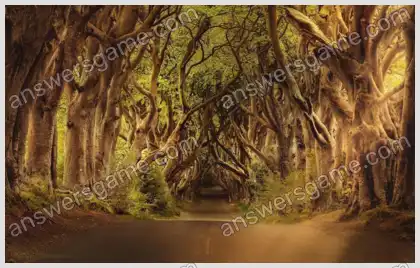 Mots croisés pour vous Niveau 7 Mots croisés 8