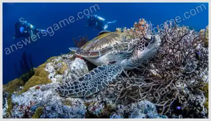 Mots croisés pour vous Niveau 8 Mots croisés 1