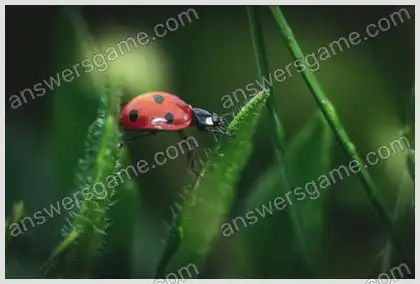 Mots croisés pour vous Niveau 8 Mots croisés 10