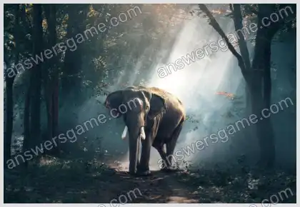 Mots croisés pour vous Niveau 9 Mots croisés 1