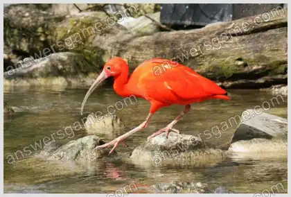 Ich liebe Kreuzworträtsel 2 Ebene 10 Kreuzworträtsel 1