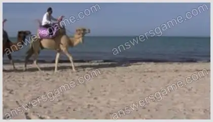 Ich liebe Kreuzworträtsel 2 Ebene 10 Kreuzworträtsel 10