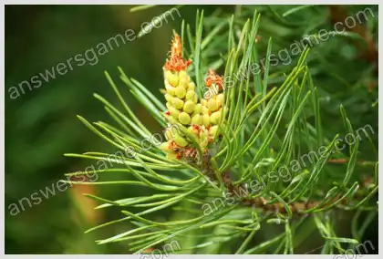 Ich liebe Kreuzworträtsel 2 Ebene 10 Kreuzworträtsel 2