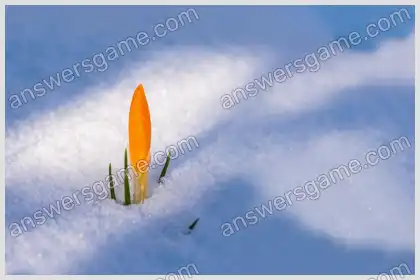 Ich liebe Kreuzworträtsel 2 Ebene 10 Kreuzworträtsel 4