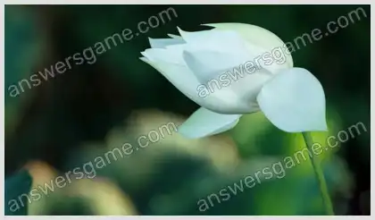 Ich liebe Kreuzworträtsel 2 Ebene 10 Kreuzworträtsel 8