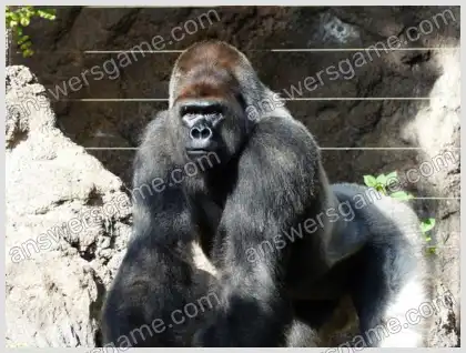 J'aime les mots croisés 2 Niveau 11 Mots croisés 8