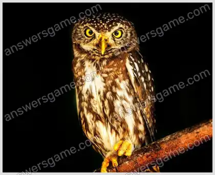 J'aime les mots croisés 2 Niveau 12 Mots croisés 2