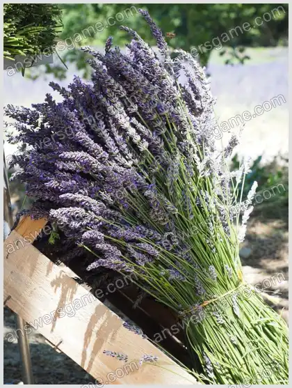 J'aime les mots croisés 2 Niveau 12 Mots croisés 4