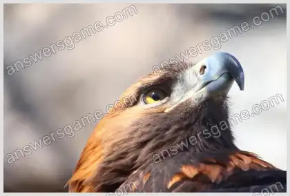 J'aime les mots croisés 2 Niveau 12 Mots croisés 7