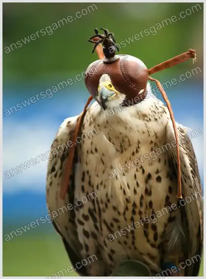 J'aime les mots croisés 2 Niveau 12 Mots croisés 8