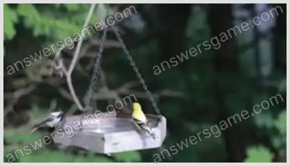 J'aime les mots croisés 2 Niveau 13 Mots croisés 10