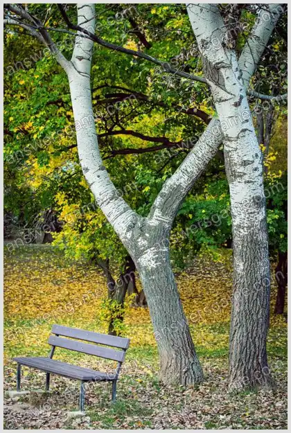 Ich liebe Kreuzworträtsel 2 Ebene 14 Kreuzworträtsel 2