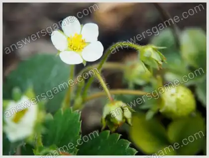 Ich liebe Kreuzworträtsel 2 Ebene 15 Kreuzworträtsel 5