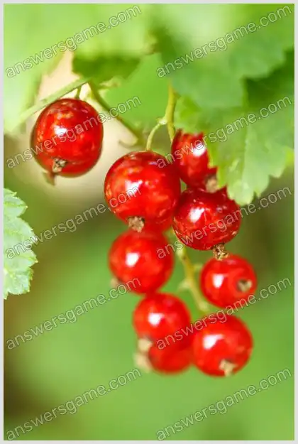 Ich liebe Kreuzworträtsel 2 Ebene 15 Kreuzworträtsel 7