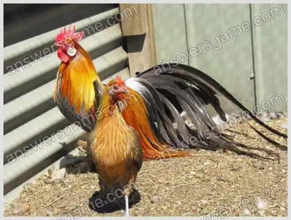 J'aime les mots croisés 2 Niveau 16 Mots croisés 2