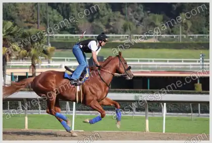 J'aime les mots croisés 2 Niveau 16 Mots croisés 4