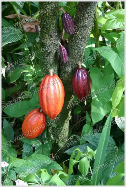 Ich liebe Kreuzworträtsel 2 Ebene 17 Kreuzworträtsel 2