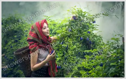 Ich liebe Kreuzworträtsel 2 Ebene 17 Kreuzworträtsel 7