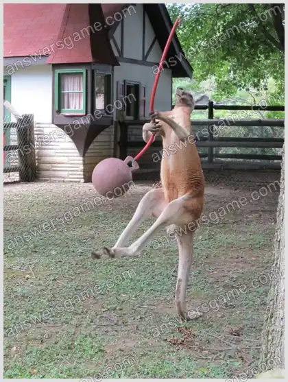 Ich liebe Kreuzworträtsel 2 Ebene 18 Kreuzworträtsel 1