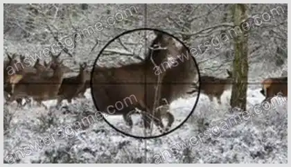 Ich liebe Kreuzworträtsel 2 Ebene 18 Kreuzworträtsel 10