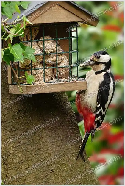 Ich liebe Kreuzworträtsel 2 Ebene 18 Kreuzworträtsel 5