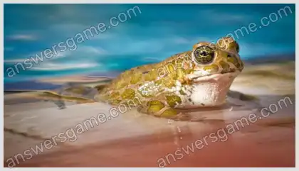 Ich liebe Kreuzworträtsel 2 Ebene 18 Kreuzworträtsel 7