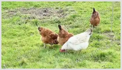 J'aime les mots croisés 2 Niveau 19 Mots croisés 10