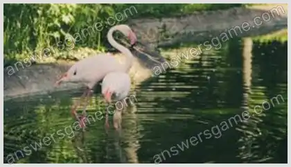 J'aime les mots croisés 2 Niveau 20 Mots croisés 10