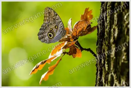 J'aime les mots croisés 2 Niveau 20 Mots croisés 5