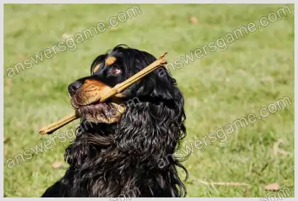 Ich liebe Kreuzworträtsel 2 Ebene 21 Kreuzworträtsel 4