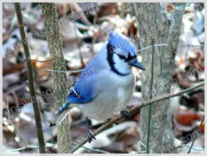 Ich liebe Kreuzworträtsel 2 Ebene 21 Kreuzworträtsel 7