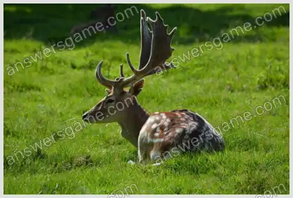 Ich liebe Kreuzworträtsel 2 Ebene 21 Kreuzworträtsel 8