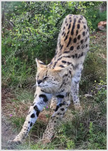 Ich liebe Kreuzworträtsel 2 Ebene 22 Kreuzworträtsel 7