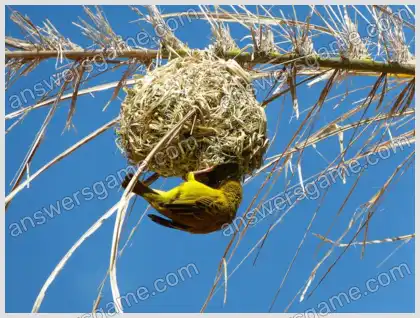 Ich liebe Kreuzworträtsel 2 Ebene 23 Kreuzworträtsel 2