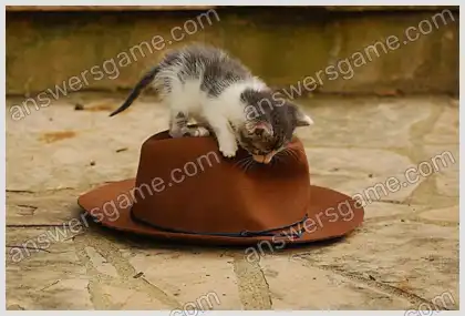 Ich liebe Kreuzworträtsel 2 Ebene 23 Kreuzworträtsel 8